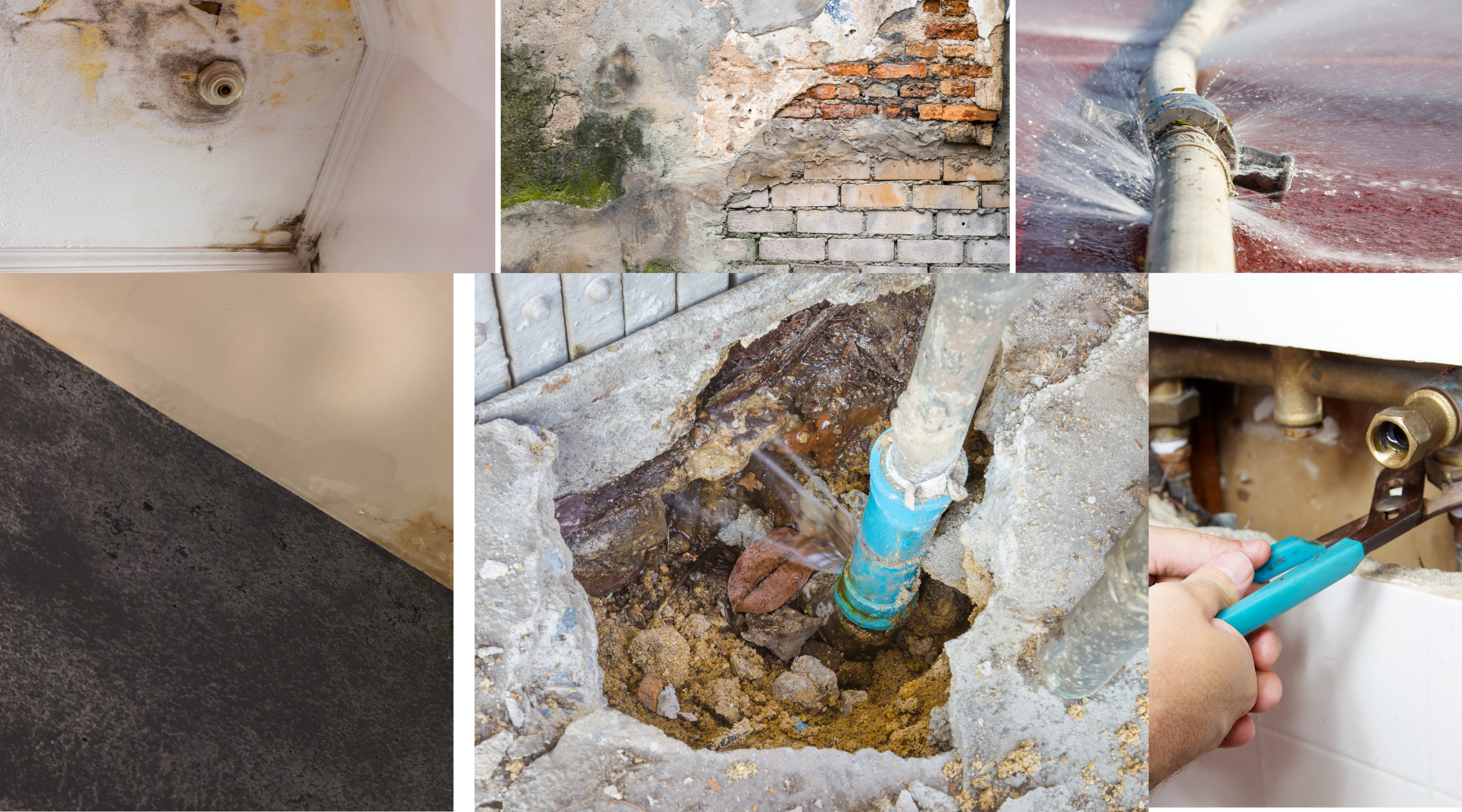 trieste ricerca perdita acqua